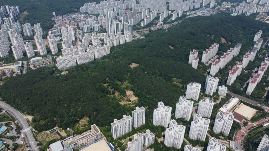 dcim100mediadji 0712.jpg